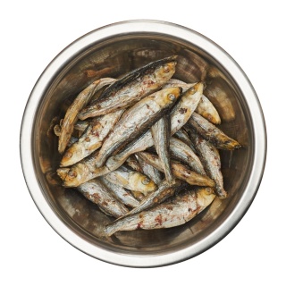 Best Barf liofilizowana szprotka 50 g
