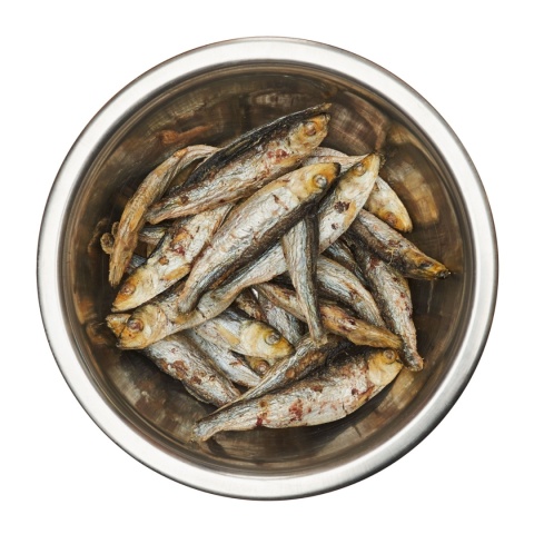 Best Barf liofilizowana szprotka 50 g
